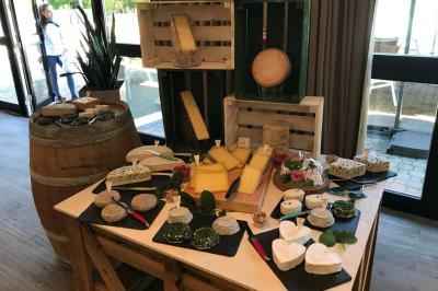 Plateau de fromages variés disposés en rangées, incluant fromages à pâte molle, dure, persillée et chèvre cendré.