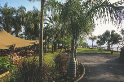 Vue sur une étendue d'océan au coucher du soleil, entourée de végétation verdoyante au premier plan.