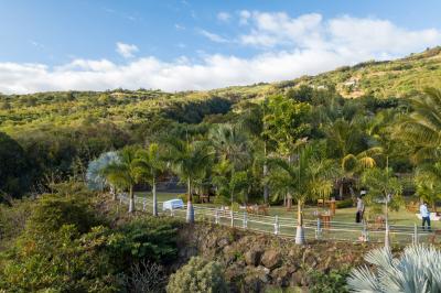 Vue sur une étendue d'océan au coucher du soleil, entourée de végétation verdoyante au premier plan.