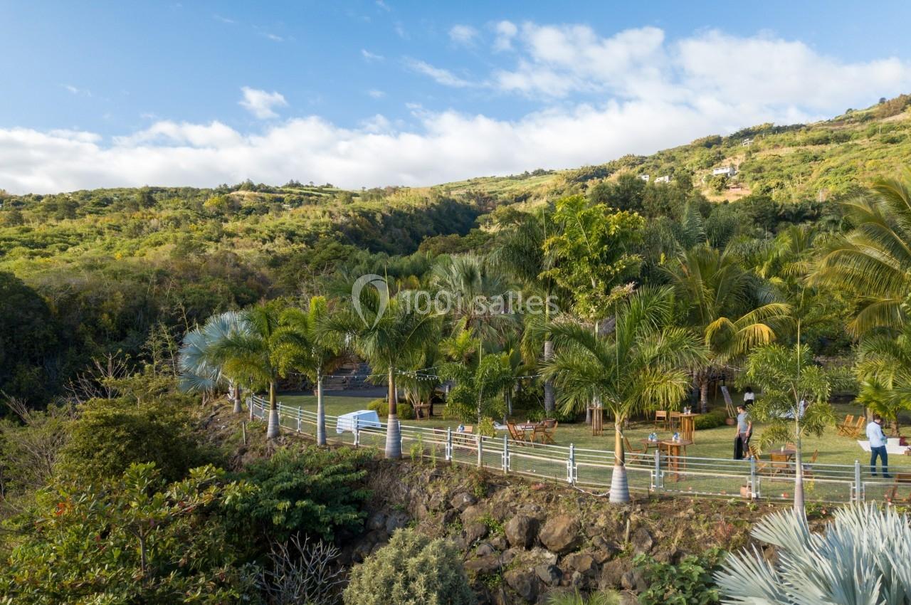 Vue d'un jardin tropical avec des palmiers, des tables en bois et des collines verdoyantes en arrière-plan.