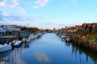 Un couple de dos, debout sur une plage, tenant la main, face à la mer sous un ciel dégagé.