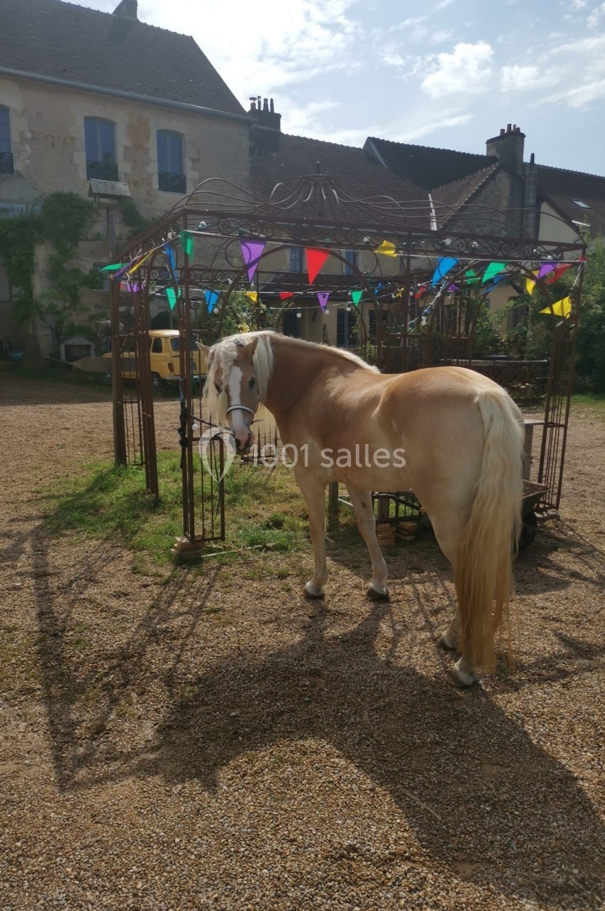 Location salle Bellême (Orne) - La Guinguette de Bellême  #19