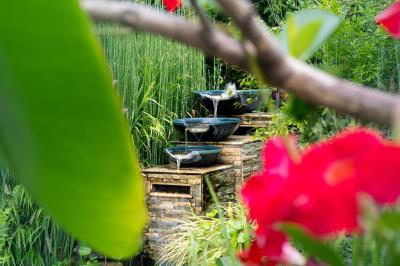 Coucher de soleil illuminant une rue bordée d'arbres et de bâtiments, avec des reflets sur le sol mouillé.