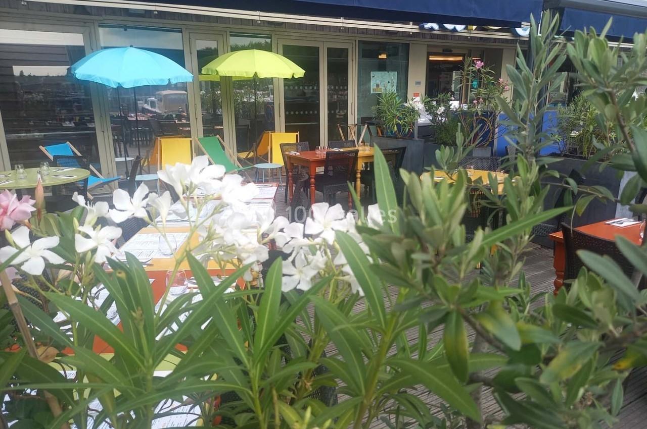 Terrasse extérieure avec tables colorées, parasols et plantes, devant une façade vitrée.