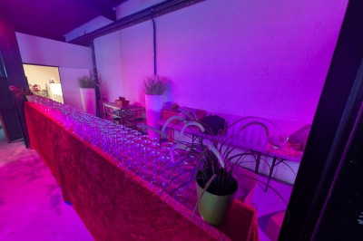 Un Père Noël décoratif près d'un sapin orné de boules argentées et de guirlandes rouges, dans un décor festif.