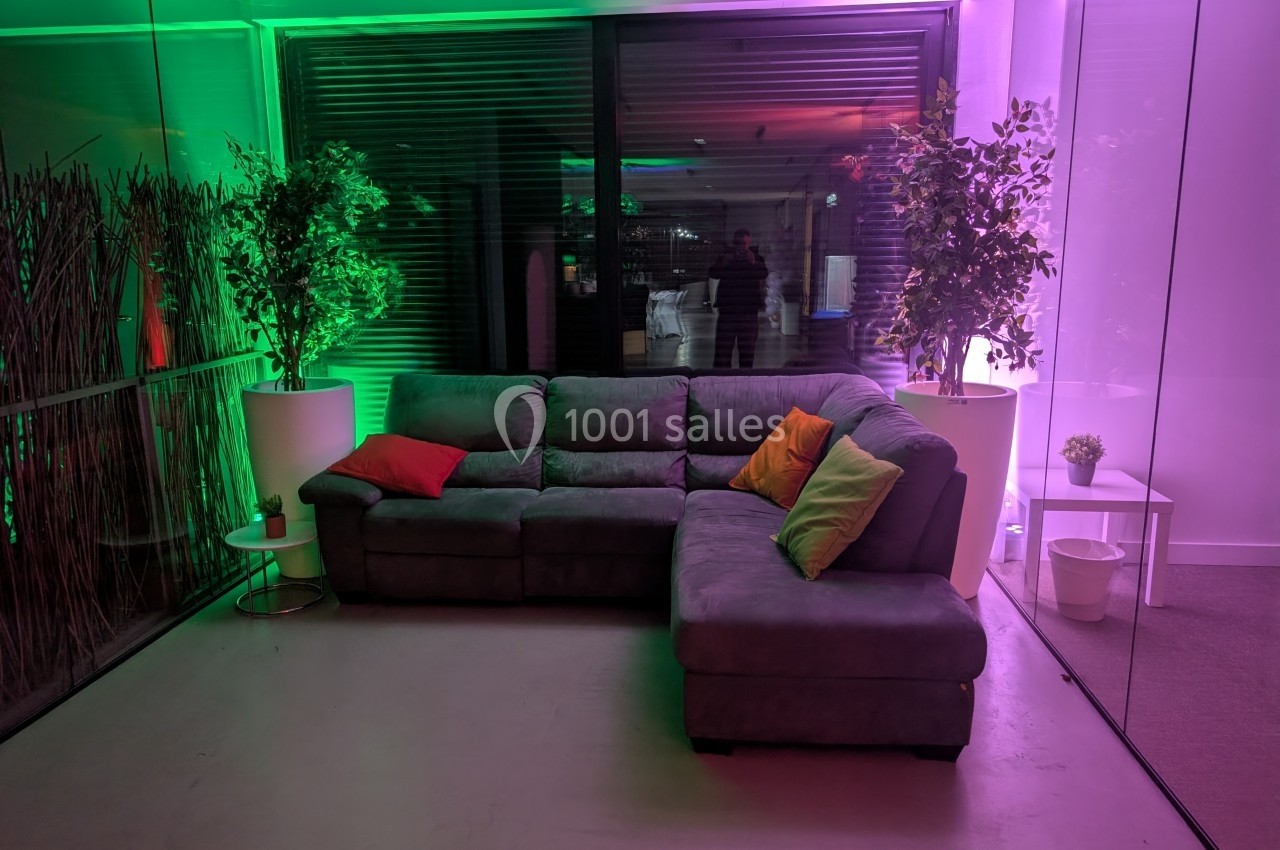 Canapé d'angle gris avec coussins colorés, entouré de plantes en pots, dans une pièce éclairée par des lumières colorées.