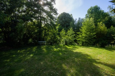 Miniature Location salle Gif-sur-Yvette (Essonne) - Villa Utopia #33 Un banc blanc isolé au bord d'une clairière entourée d'arbres verdoyants sous une lumière ensoleillée.