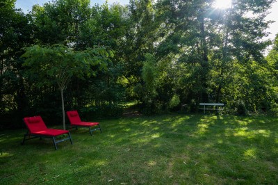 Miniature Location salle Gif-sur-Yvette (Essonne) - Villa Utopia #34 Terrasse en bois avec des chaises autour d'une table, donnant sur un étang entouré de végétation et d'arbres.