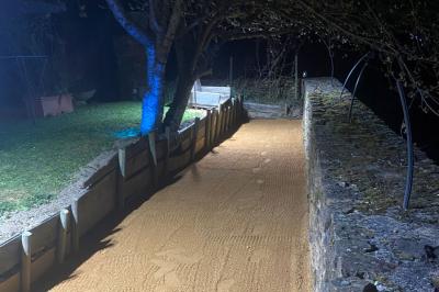 Voiture noire décorée de fleurs blanches et bleues, garée sur un parking près d'une pelouse.