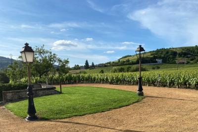 Voiture noire décorée de fleurs blanches et bleues, garée sur un parking près d'une pelouse.