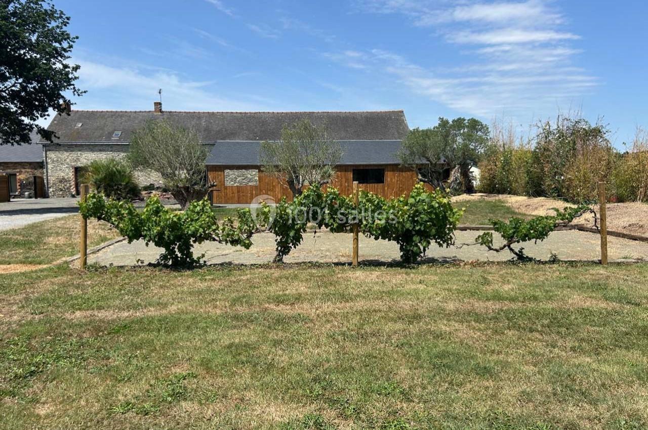 Vigne taillée devant une maison en pierre avec toit en ardoise, entourée d'arbres et d'un ciel dégagé.