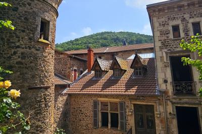 Château Louis XI en Beaujolais - photo 1