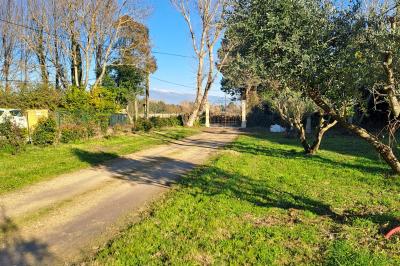 Maison avec terrasse entourée de végétation, située dans un jardin avec allée en gravier et ciel dégagé en arrière-plan.