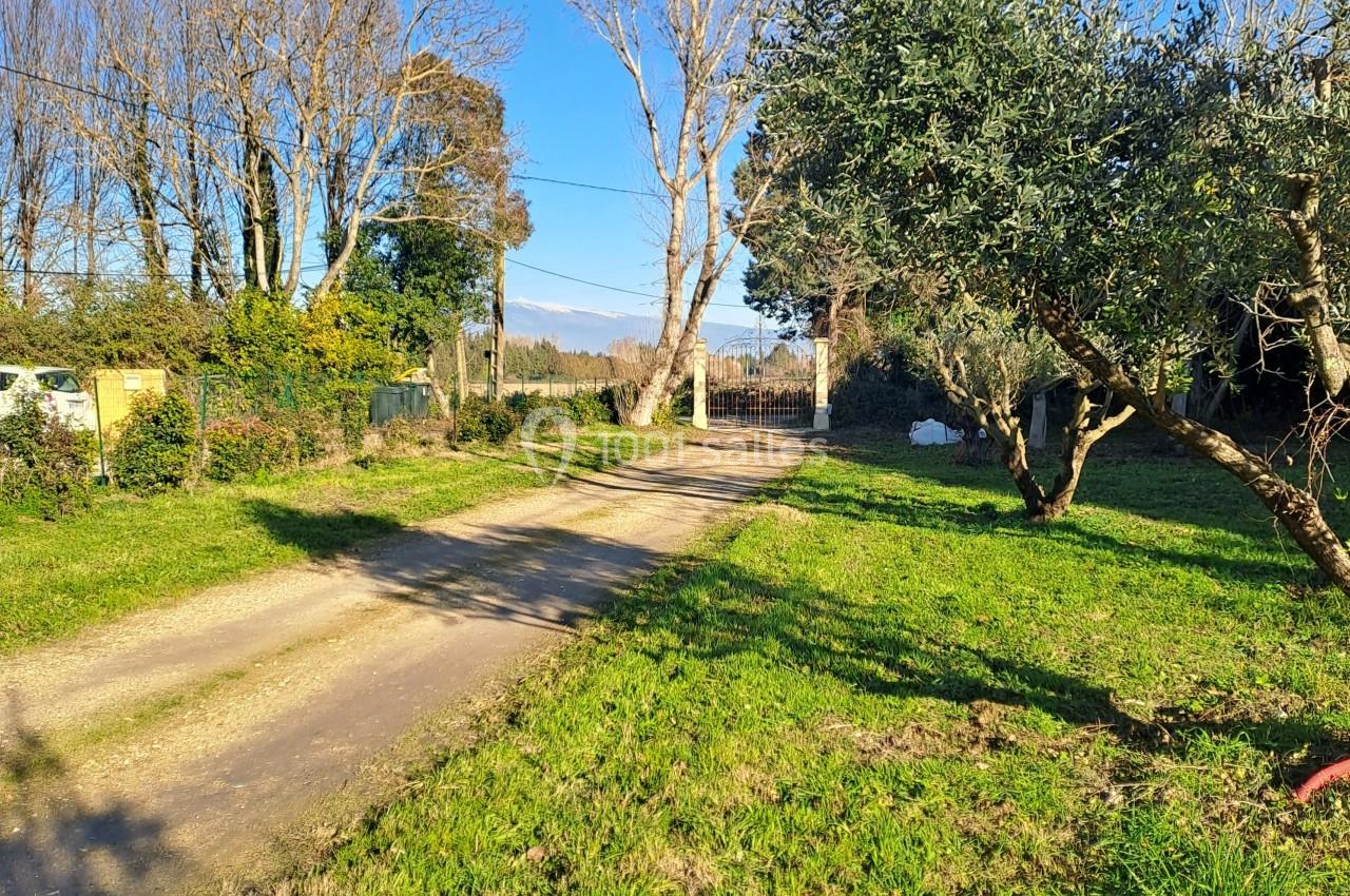 Chemin de terre bordé d'arbres et de verdure, menant à un portail sous un ciel dégagé.