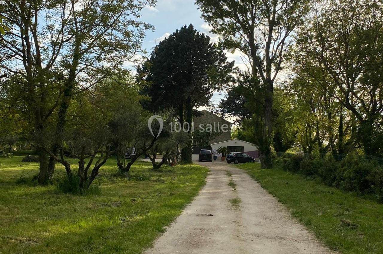 Chemin de terre bordé d'arbres menant à une maison entourée de végétation sous un ciel partiellement nuageux.