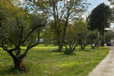 Maison avec terrasse entourée de végétation, située dans un jardin avec allée en gravier et ciel dégagé en arrière-plan.