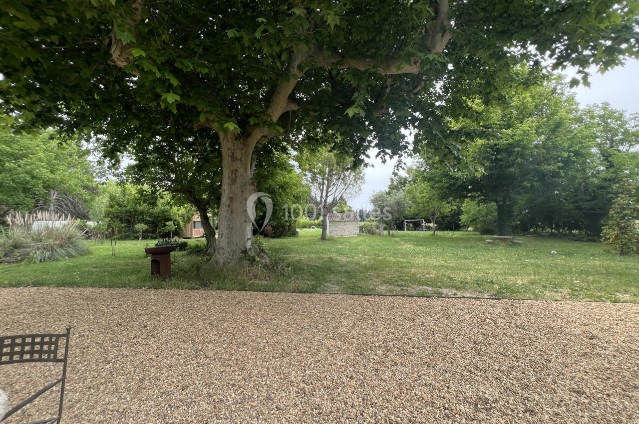 Allée en gravier bordée d'un grand arbre et donnant sur un jardin verdoyant avec des arbres et une pelouse.