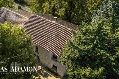 Miniature Location salle Monteux (Vaucluse) - Mas Adamon #25 Cour extérieure éclairée de nuit avec des guirlandes lumineuses suspendues à un grand arbre et des lampes au sol.