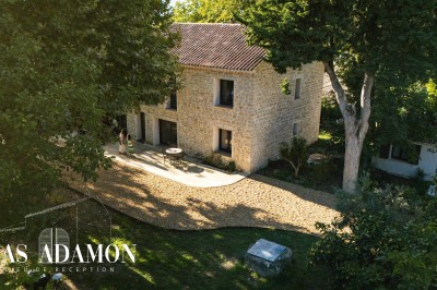Miniature Location salle Monteux (Vaucluse) - Mas Adamon #21 Cour extérieure éclairée de nuit avec des guirlandes lumineuses suspendues à un grand arbre et des lampes au sol.