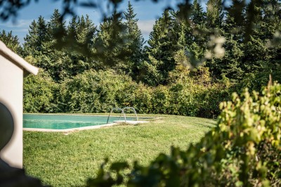 Miniature Location salle Monteux (Vaucluse) - Mas Adamon #38 Cour extérieure éclairée de nuit avec des guirlandes lumineuses suspendues à un grand arbre et des lampes au sol.