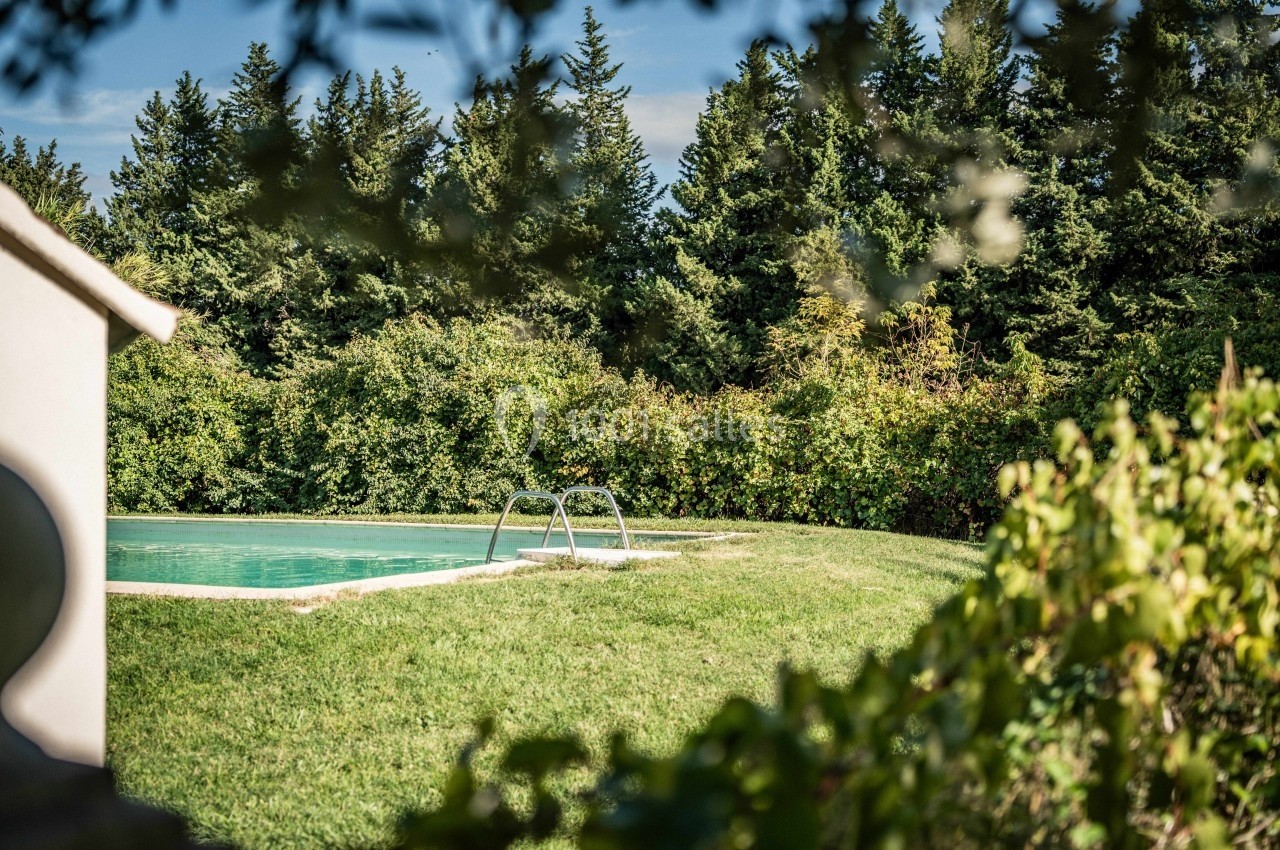 Piscine extérieure entourée de pelouse et de végétation dense avec des arbres en arrière-plan.