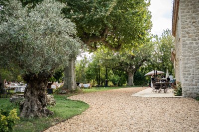 Miniature Location salle Monteux (Vaucluse) - Mas Adamon #42 Cour extérieure éclairée de nuit avec des guirlandes lumineuses suspendues à un grand arbre et des lampes au sol.