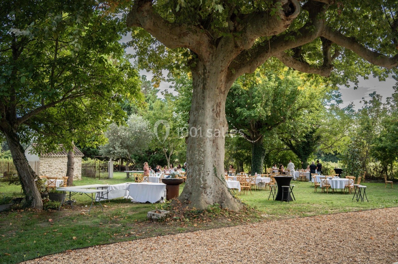 Tables dressées sous de grands arbres dans un jardin, avec des invités en arrière-plan lors d'un événement en plein air.