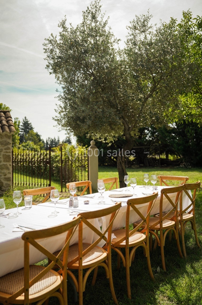 Table dressée avec vaisselle et verres dans un jardin, sous un olivier, entourée de verdure et d'une clôture en fer forgé.