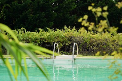 Miniature Location salle Monteux (Vaucluse) - Mas Adamon #52 Cour extérieure éclairée de nuit avec des guirlandes lumineuses suspendues à un grand arbre et des lampes au sol.