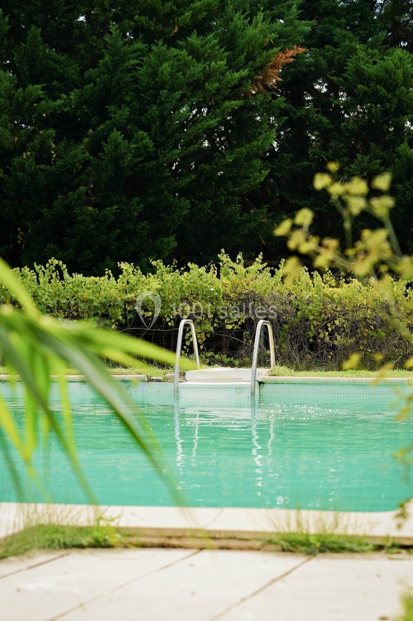 Piscine extérieure entourée de verdure avec une échelle en métal et des plantes au premier plan.