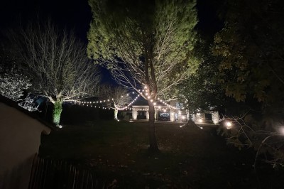 Miniature Location salle Monteux (Vaucluse) - Mas Adamon #31 Cour extérieure éclairée de nuit avec des guirlandes lumineuses suspendues à un grand arbre et des lampes au sol.