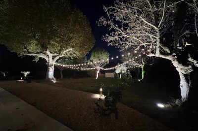 Miniature Location salle Monteux (Vaucluse) - Mas Adamon #6 Cour extérieure éclairée de nuit avec des guirlandes lumineuses suspendues à un grand arbre et des lampes au sol.