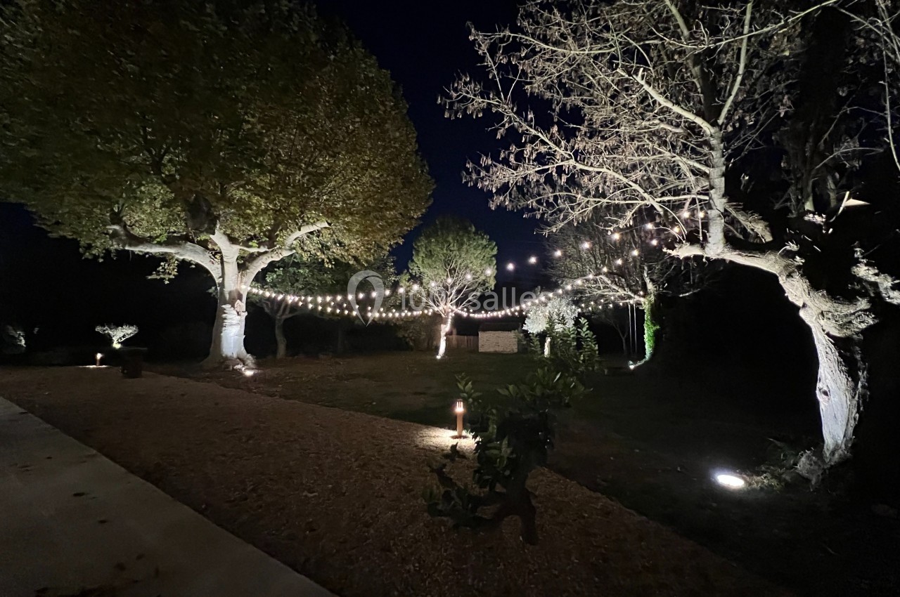 Guirlandes lumineuses suspendues entre des arbres dans un jardin éclairé la nuit.