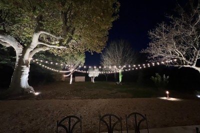 Miniature Location salle Monteux (Vaucluse) - Mas Adamon #16 Cour extérieure éclairée de nuit avec des guirlandes lumineuses suspendues à un grand arbre et des lampes au sol.