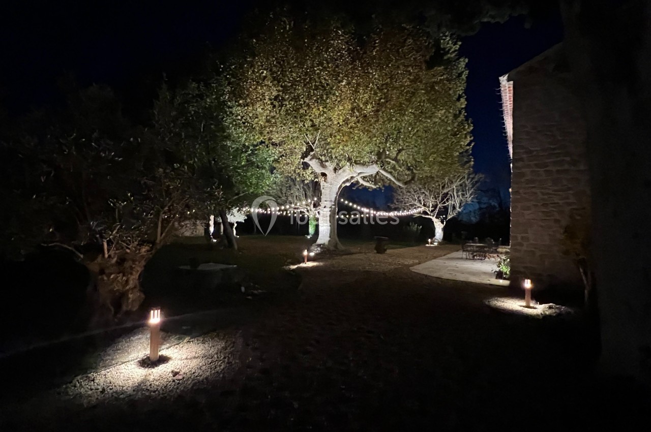 Cour extérieure éclairée de nuit avec des guirlandes lumineuses suspendues à un grand arbre et des lampes au sol.