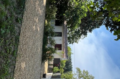 Maison avec terrasse entourée de végétation, située dans un jardin avec allée en gravier et ciel dégagé en arrière-plan.