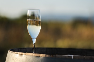Miniature Location salle Meyrargues (Bouches-du-Rhône) - Château de Vauclaire #11 Groupe de personnes assises et discutant dans un jardin ensoleillé avec des parasols blancs.