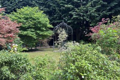 Salle lumineuse avec parquet, tapis décoré, fresques murales, rideaux sombres et plafond orné d'une carte céleste.