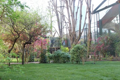 Salle lumineuse avec grandes baies vitrées ouvertes sur un jardin verdoyant, tables et chaises en métal.