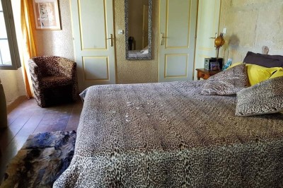 Miniature Location salle Peyrolles-en-Provence (Bouches-du-Rhône) - Presqu'ile de Real Plantain #37 Chambre avec lit recouvert d'un couvre-lit à motif léopard, fauteuil assorti et miroir encadré sur un mur clair.