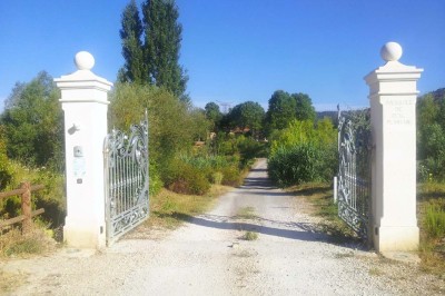Chambre avec lit double bleu, tête de lit en rotin, décoration sobre et tableau représentant un ponton sur la mer.