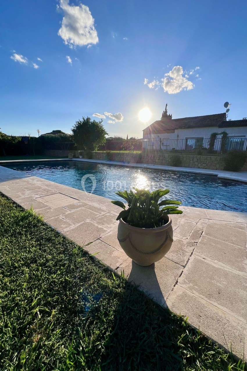 Piscine extérieure bordée de pelouse et d'une jardinière, éclairée par un soleil bas dans un ciel dégagé.