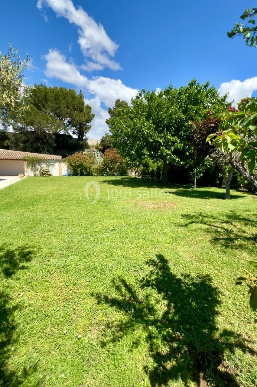 Pelouse verdoyante entourée d'arbres sous un ciel bleu avec quelques nuages.