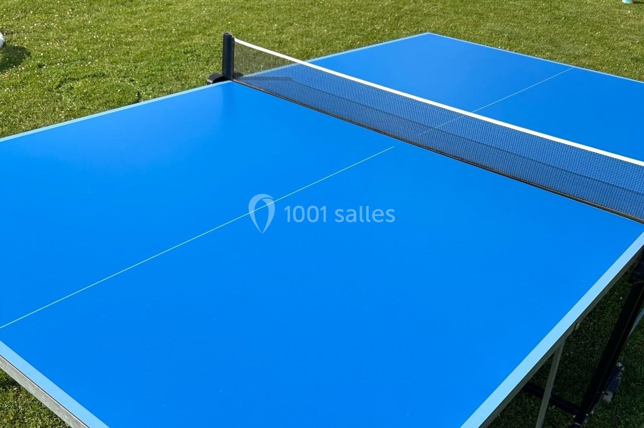 Table de tennis de table bleue avec un filet noir, installée sur une pelouse verte en extérieur.