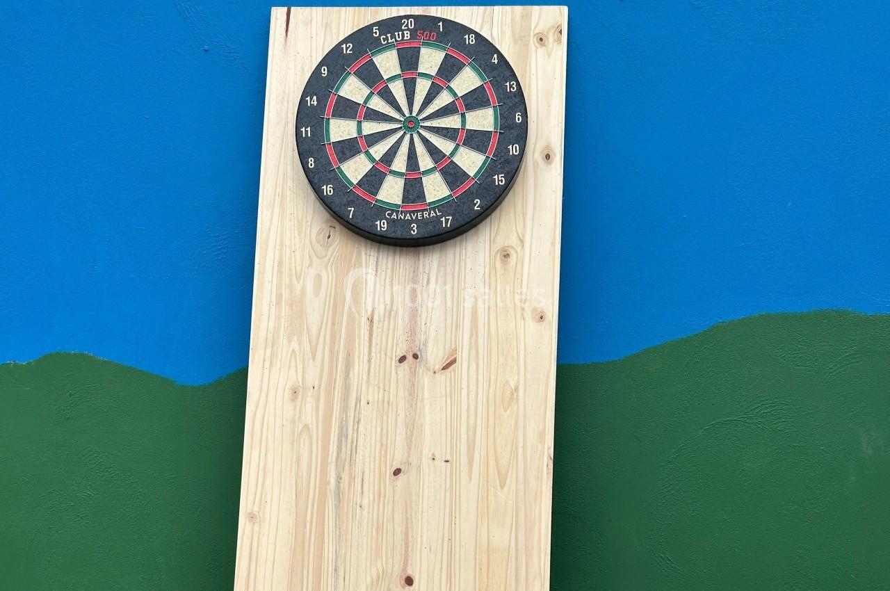 Cible de fléchettes fixée sur une planche en bois, devant un mur peint en bleu et vert.