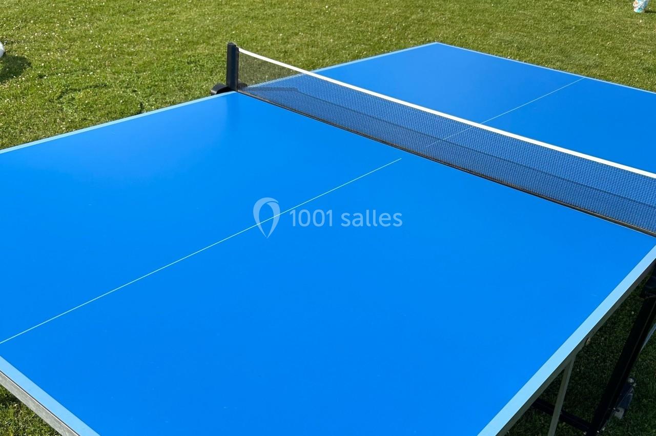Table de tennis de table bleue avec filet noir, installée sur une pelouse verte en extérieur.