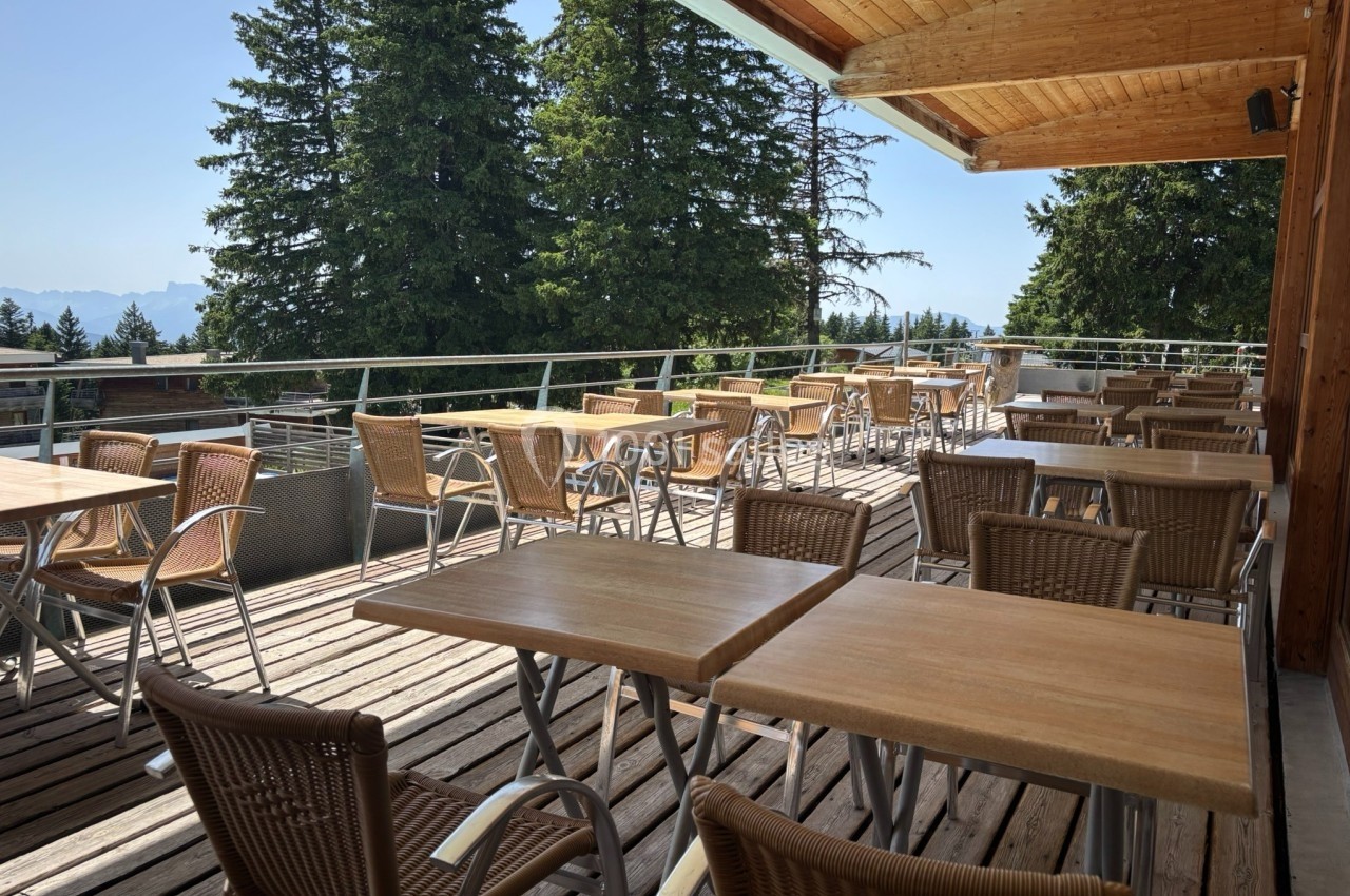 Terrasse en bois avec tables et chaises en osier, entourée de sapins et offrant une vue dégagée sur un paysage montagneux.
