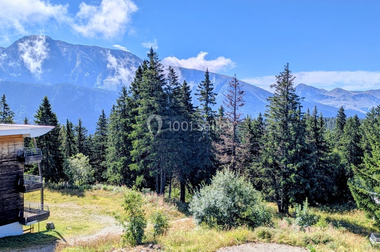 Vue sur un paysage alpin avec des sapins, une prairie, un chalet en bois et des montagnes en arrière-plan.