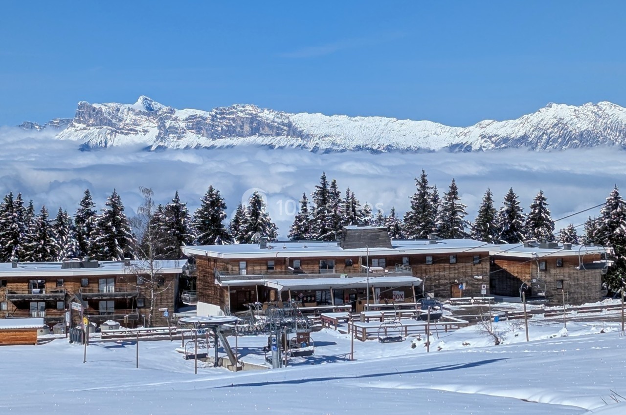 Chalets en bois entourés de sapins enneigés avec une vue sur des montagnes et un ciel dégagé.
