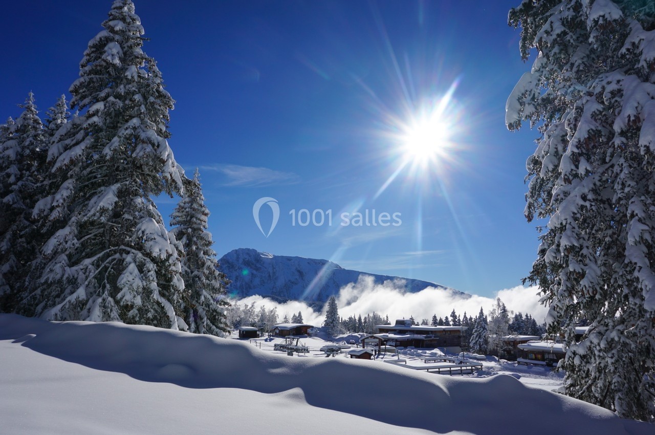 Paysage enneigé avec des sapins, un ciel bleu ensoleillé et des montagnes en arrière-plan.